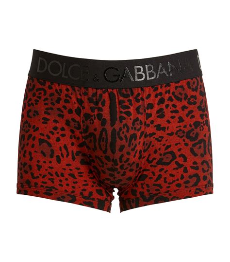 dolce gabbana leopard briefs|dolce and gabbana boxer shorts.